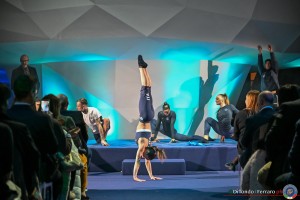 fgi divise freddy lanterna ph di tondo   ferraro 2771